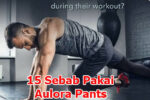 ebab Pakai Aulora Pants