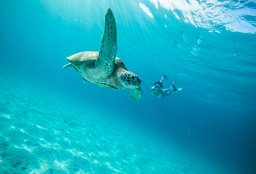 Tempat Menarik Terbaik Pulau Redang 