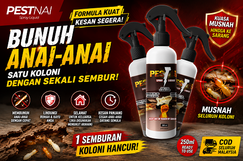Cara Menghapuskan Anai-Anai
