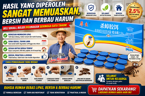 cara halau lipas