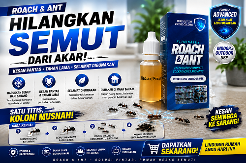 cara hilangkan semut dalam rumah
