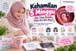Kehamilan 5 Minggu: Apa Yang Berlaku Pada Ibu dan Bayi?