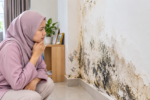 Dinding Rumah Lembap dan Berkulat