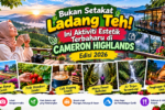 Aktiviti Estetik Terbaharu di Cameron Highlands