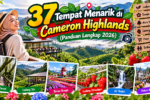 37 Tempat Menarik di Cameron Highlands 2026 (Panduan Lengkap)
